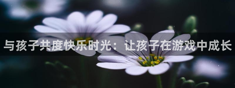 杏鑫注册平台：与孩子共度快乐时光：让孩子在游戏中成长