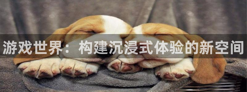 杏鑫手机客户端官网