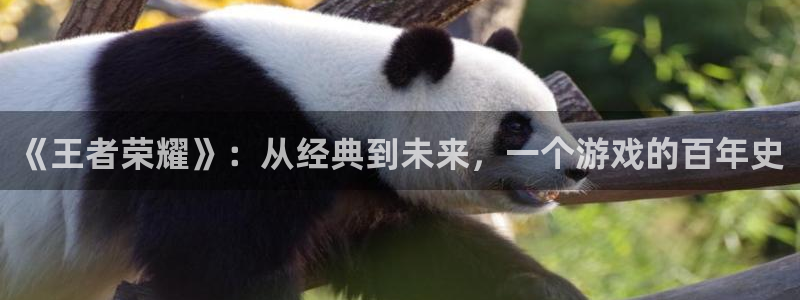 杏鑫注册登录中心