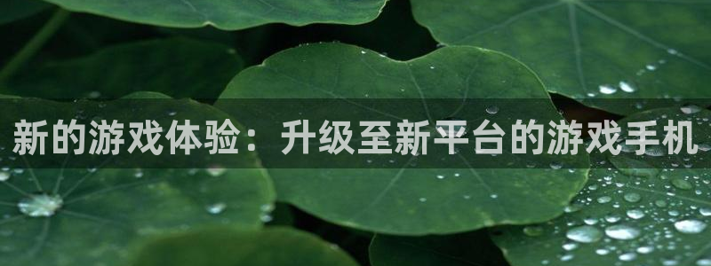杏鑫平台正规吗