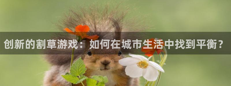 杏鑫平台开户