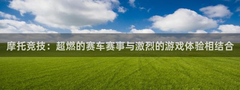 杏鑫咨询