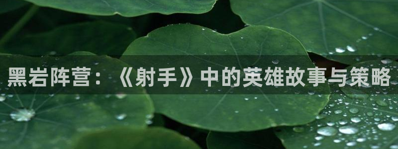 杏鑫招商总代