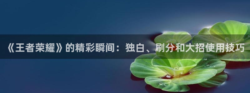 杏鑫注册平台怎么样：《王者荣耀》的精彩瞬间：独白、刷分和大招