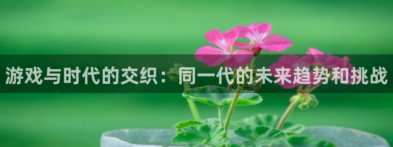 杏鑫娱乐：游戏与时代的交织：同一代的未来趋势和挑战