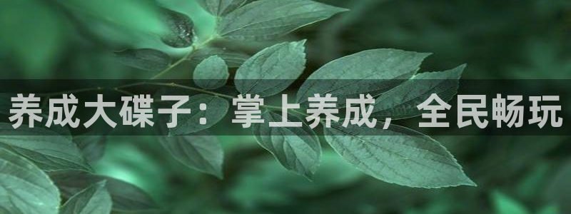 杏鑫代理注册登录