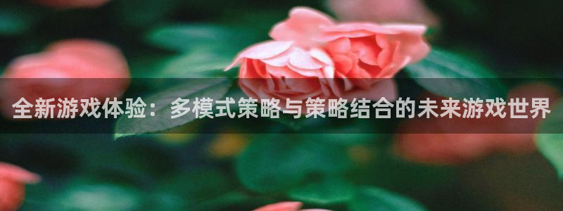 杏鑫注册平台官方网站是什么：全新游戏体验：多模式策略与策略结