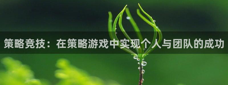 杏鑫官网：策略竞技：在策略游戏中实现个人与团队的成功