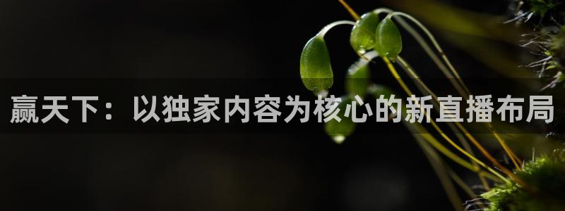 咪咕视频体育直播免费观看